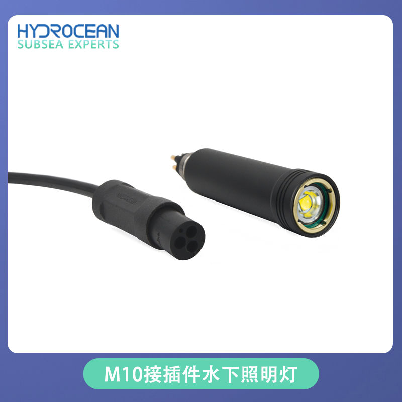 Outdoor Lighting Connectors - 水中照明ランプ M10 コネクタオス 3 コア ROV