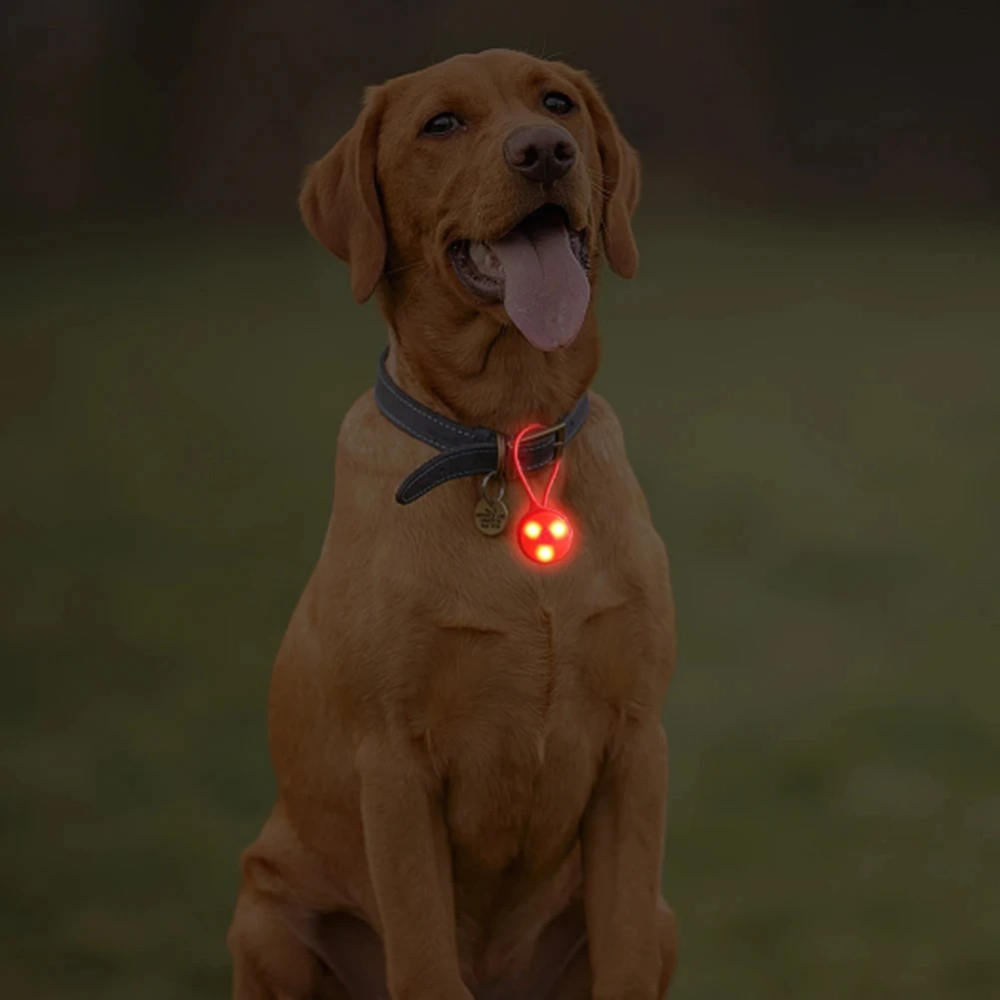 屋外バックパックライトシリコン LED ナイトランニング警告 - Outdoor Lighting Strip のレビューと価格