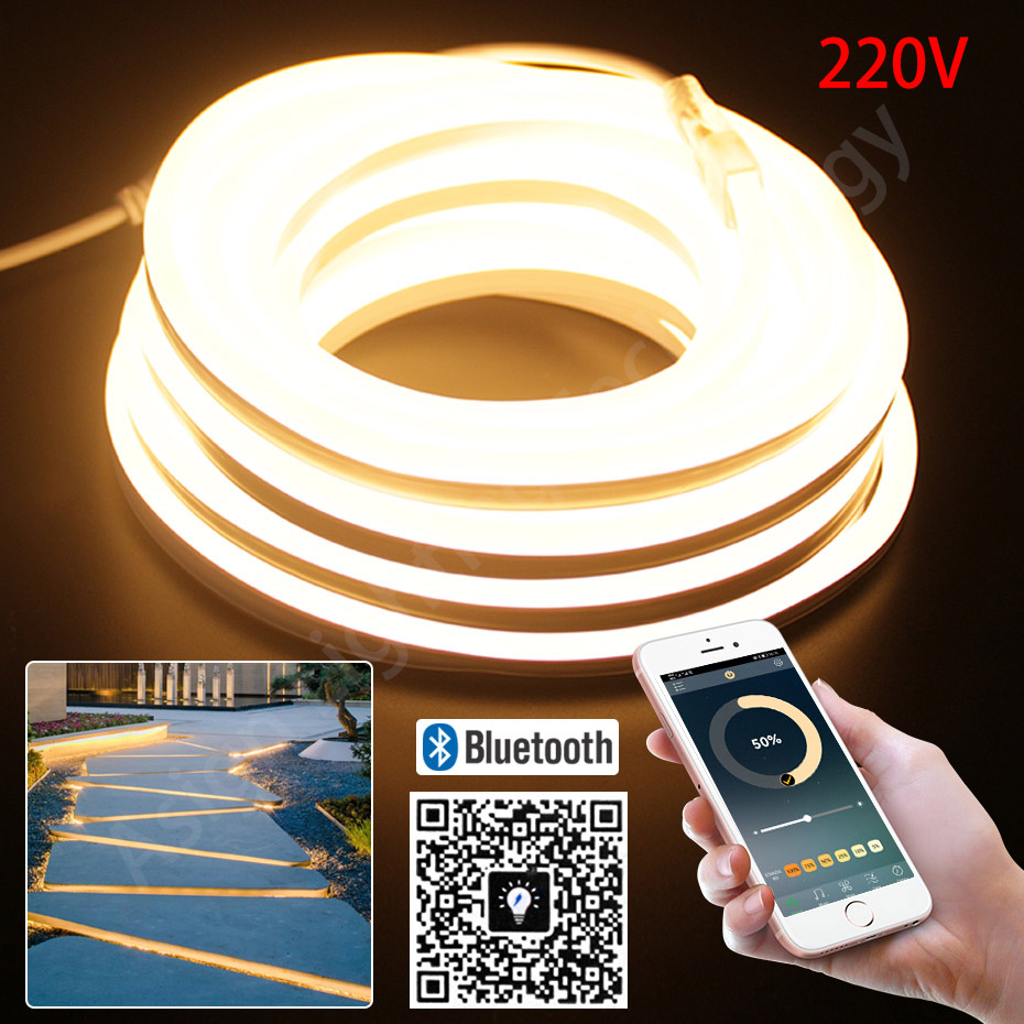 LEDネオンストリップ 220V 2835 120LED/m - Outdoor Lighting Timer Switch のレビューと価格