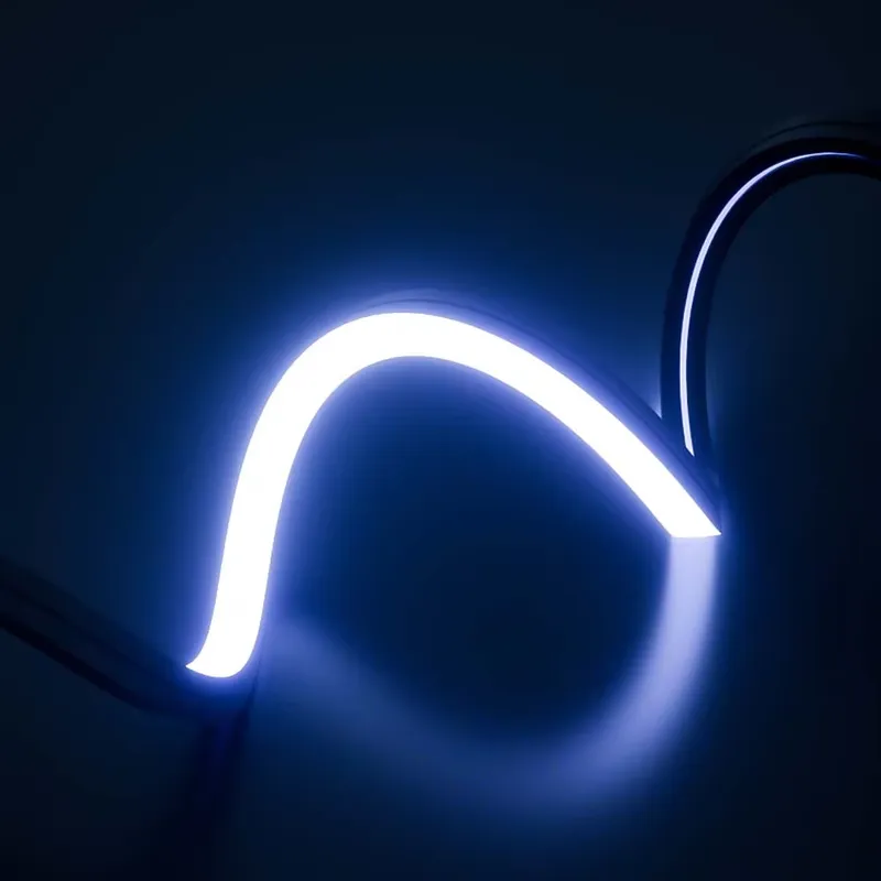 完璧な夢のような色のLEDネオンストリップライトIP65 1 - Outdoor Lighting Strip のレビューと価格